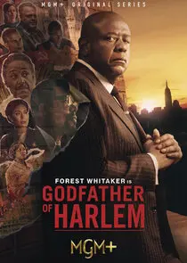 Godfather Of Harlem